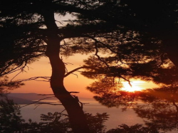 Apartments i sobe Danica Podaca